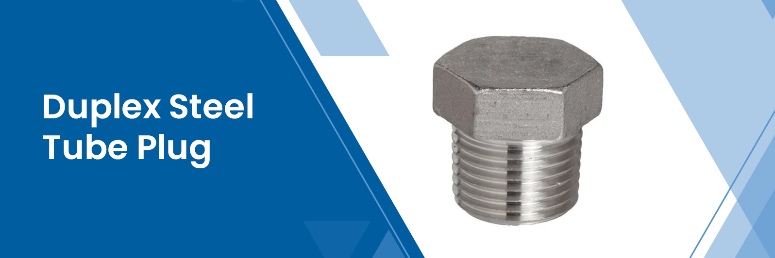 Duplex Steel Tube Plug