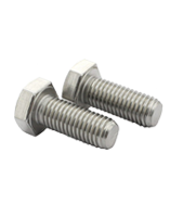 Stainless Steel 321 Bolts