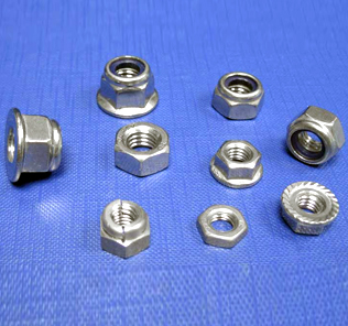 Stainless Steel Nuts