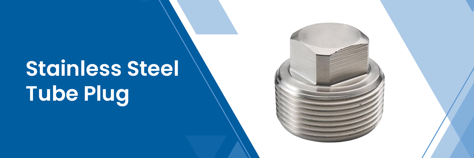 Stainless Steel Tube Plug