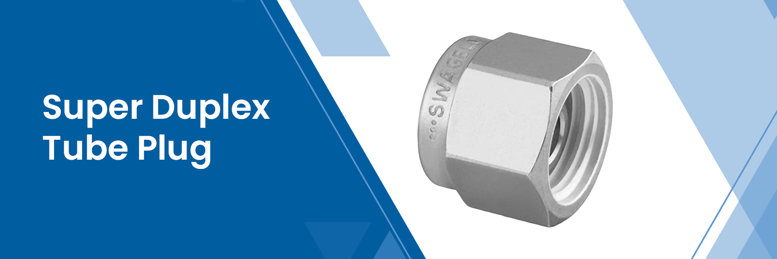 Super Duplex Tube Plug