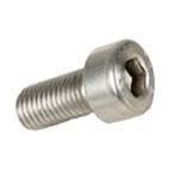 Duplex Steel UNS S32205 Socket Cap Screw